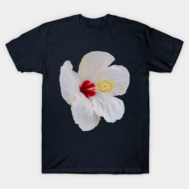 White Hibiscus Floral Photo T-Shirt by ellenhenryart